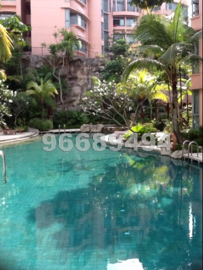 Adam Park Condominium (D11), Condominium #851536